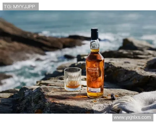 吉尔这位足球球星的传奇生涯与赛场荣耀全面解析