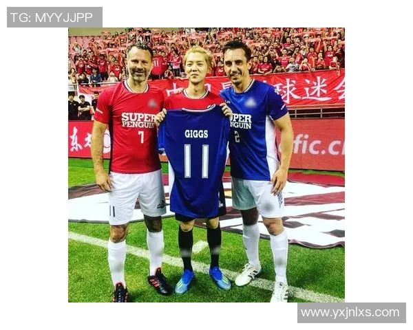 大卷毛球星足球带你领略奇妙的绿茵场与明星风采