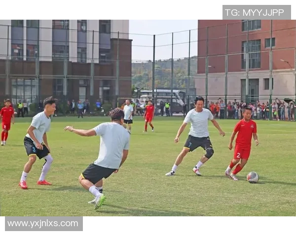 足球迷心中的偶像崇拜与明星球员影响力的深度剖析与探讨